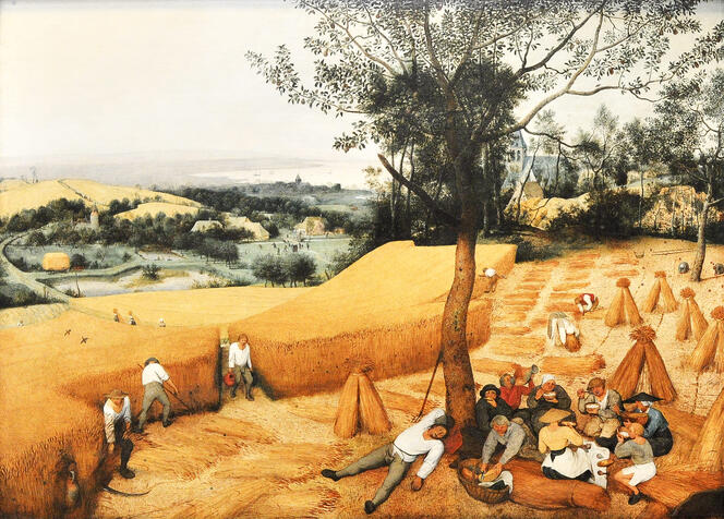 *De oogst*, of *De korenoogst*, is een olie op hout van Pieter Bruegel de Oude, een Nederlandse kunstschilder. Het schilderij staat in The Metropolitan Museum of Art in New York, in de Verenigde Staten.